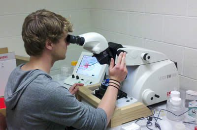 Nels sectioned plastic blocks into 50 nm sections using a diamond knife on a microtome