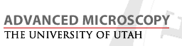 Advanced Microscopy